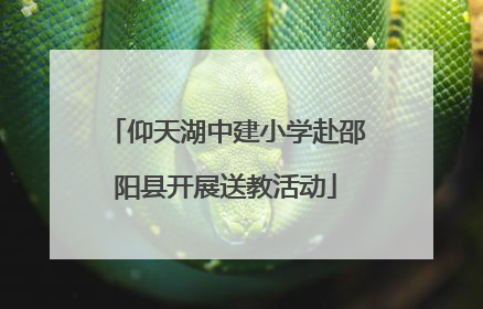 仰天湖中建小学赴邵阳县开展送教活动